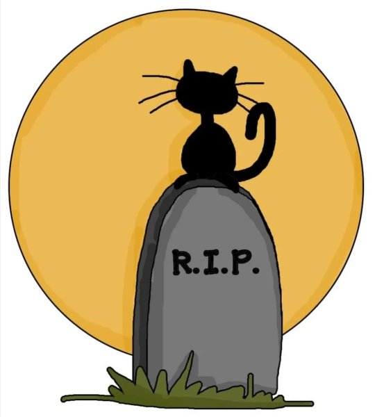 Надпись Rip
