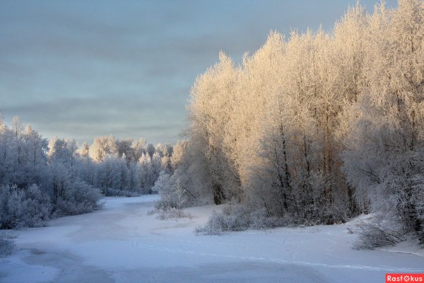 Зимние грезы Чайковский