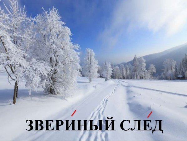 Зимние грезы