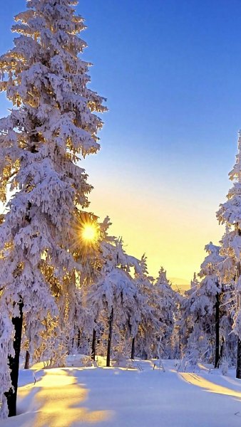 Зимние картинки для фейсбука