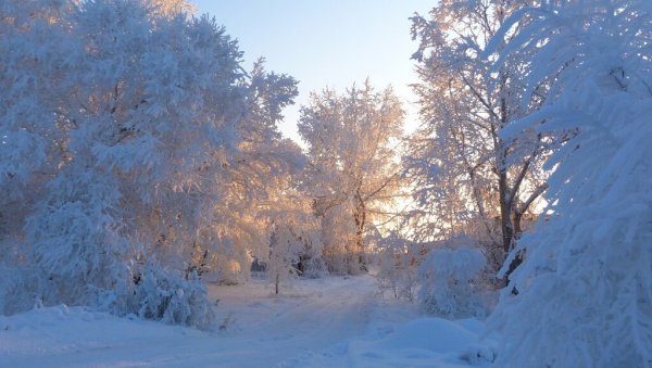 Зимние грезы Чайковский