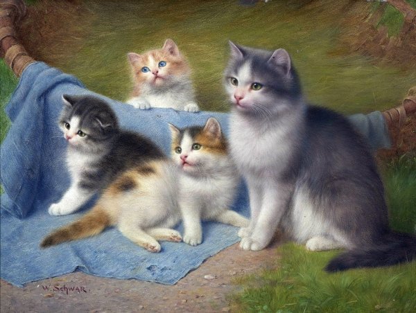 Семья кошек