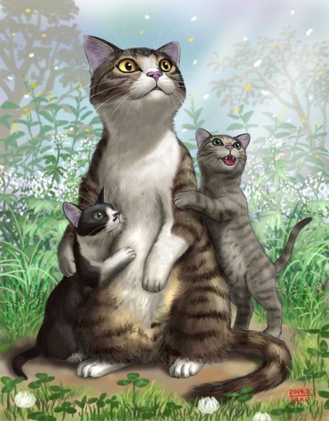 Семья котов