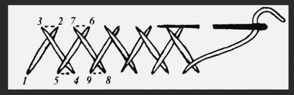 Крестообразный шов козлик