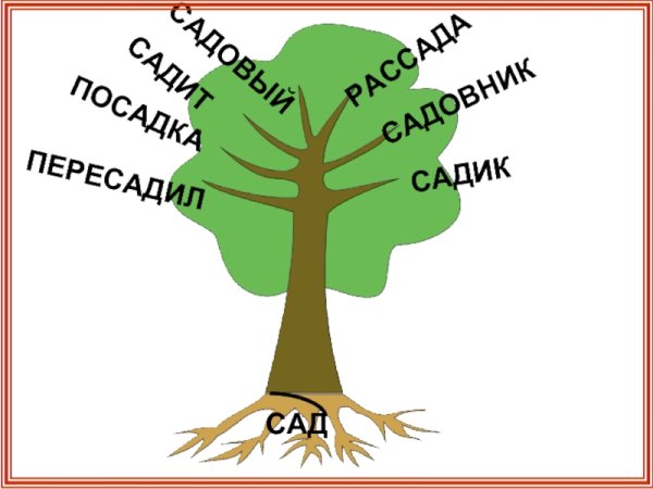 Дерево с однокоренными словами