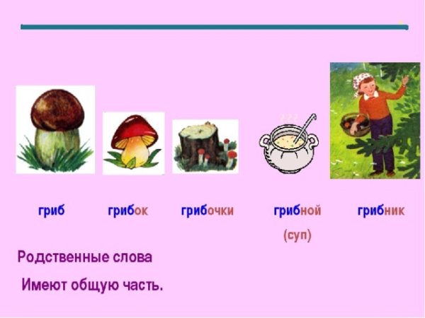 Однокоренные слова для дошкольников в картинках