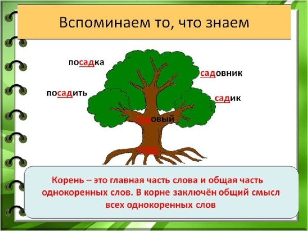Дерево родственных слов