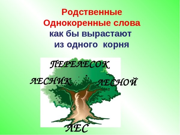 Проект однокоренные слова