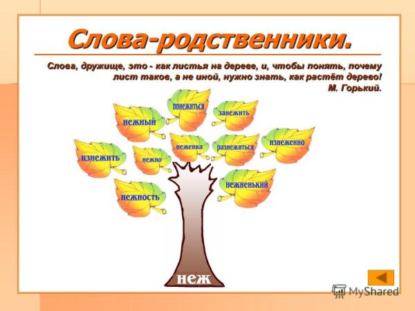 Однокоренные слова