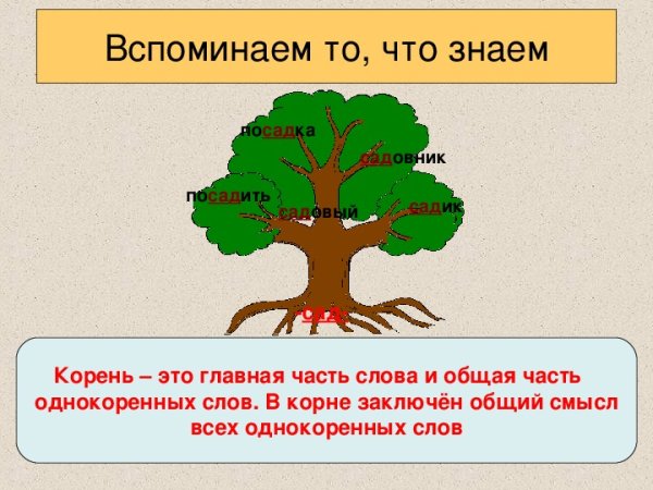 Дерево с однокоренными словами