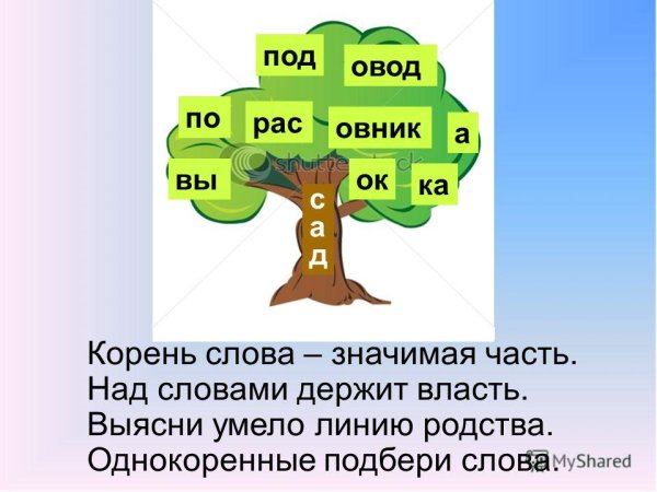 Однокоренные слова примеры