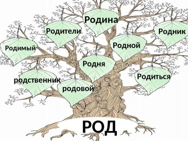 Родственные слова 2 класс