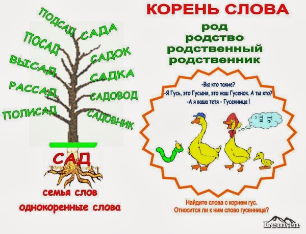 Однокоренные слова 2 класс