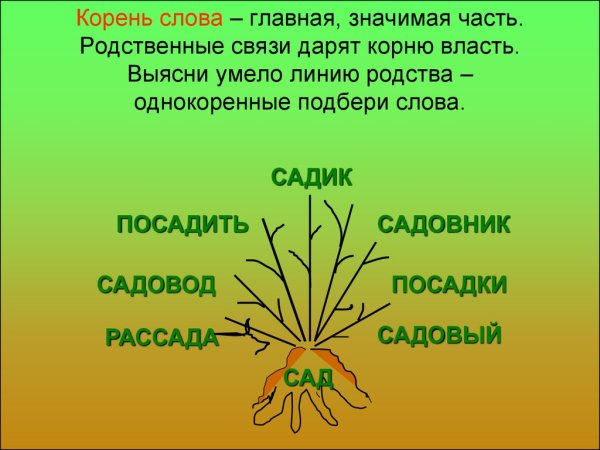 Дерево с однокоренными словами
