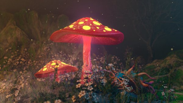 Мухомор Dreamcore
