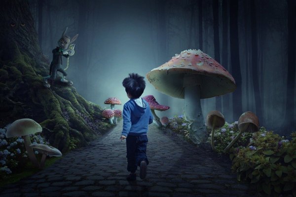 Фантастические грибы фильм 2019
