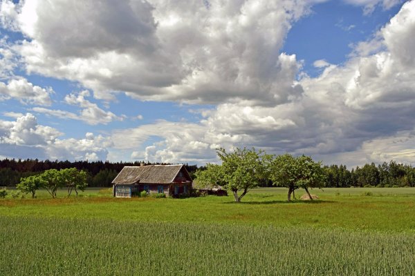 Хутор курень поле