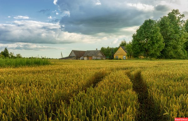 Хутор деревня село Литва
