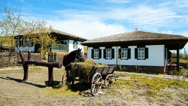 Этнографический музей тихий Дон в хуторе Старозолотовский