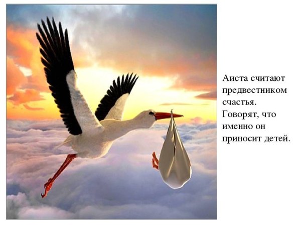 Аист приносит ребенка