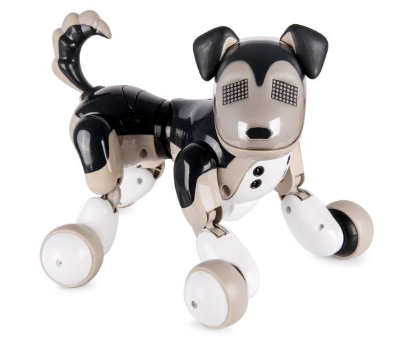 Zoomer 2.0 interactive Robot