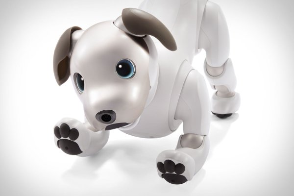 Собака-робот Sony’s Aibo