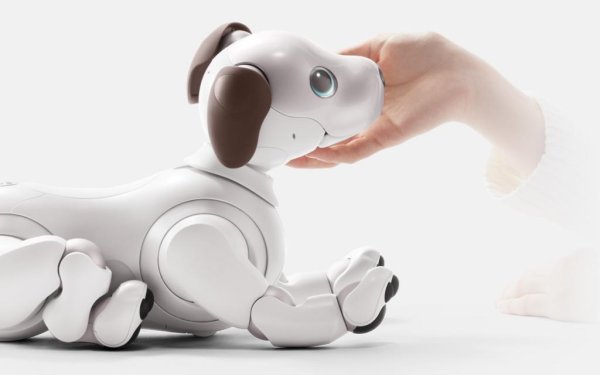 Робот teksta Puppy кошка