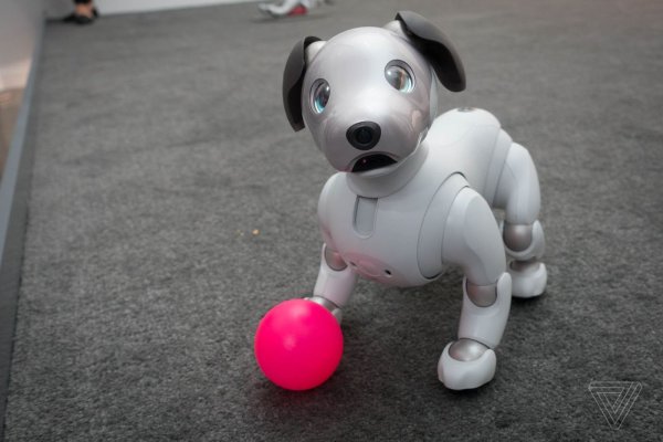 Робот собака WOWWEE Chip