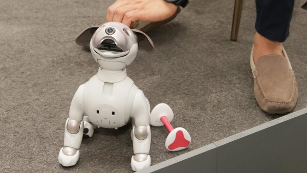 Робот teksta Puppy интерактивная собака