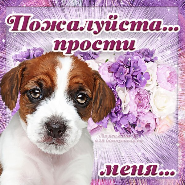 Открытки с извинениями