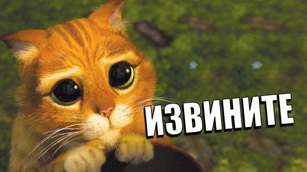 Кот с жалостливыми глазами