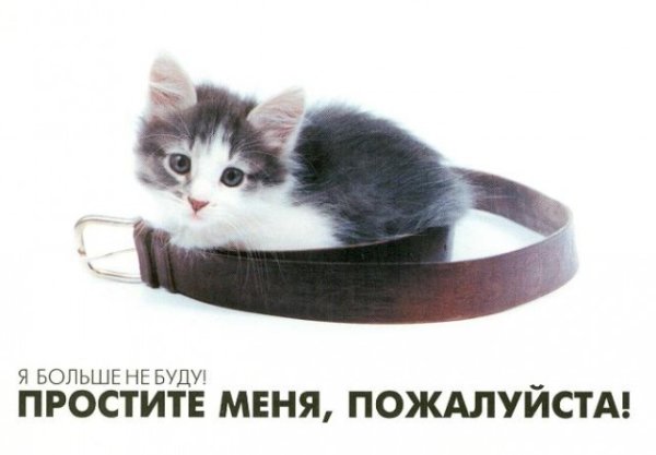 Прости меня пожалуйста
