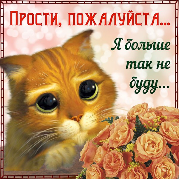 Прости меня пожалуйста