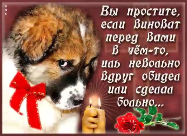 Открытка "прости"