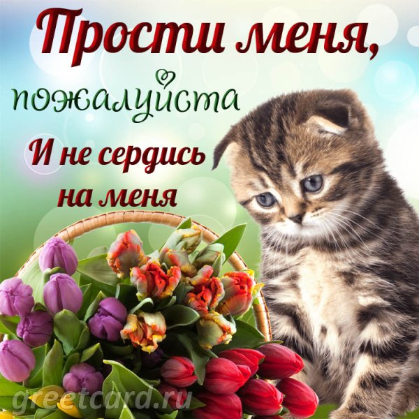 Прости меня картинки