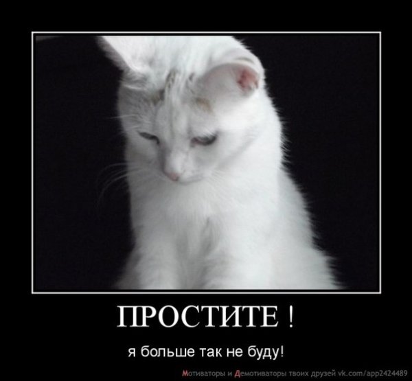 Прости меня я больше не буду