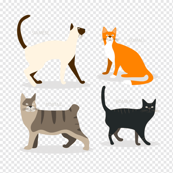 Векторная Графика кошки