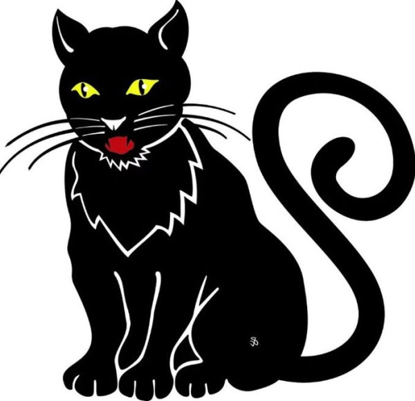 Чёрный кот