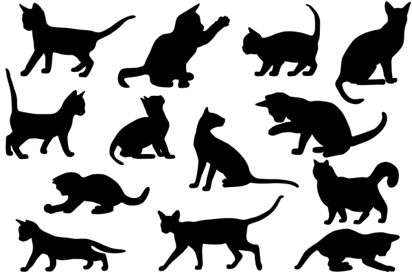 Силуэт кошки