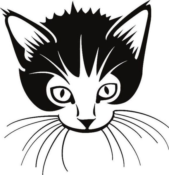 Морда кота