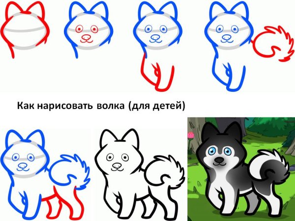 Волк рисунок поэтапно