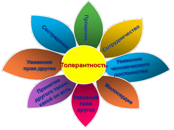 Цветок толерантности картинка