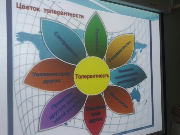 Ромашка толерантности