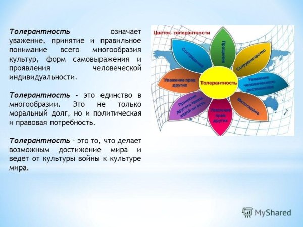 Ромашка толерантности