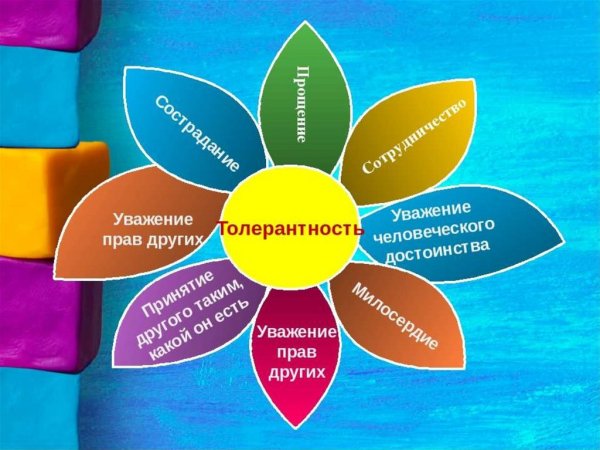 Воспитание толерантности