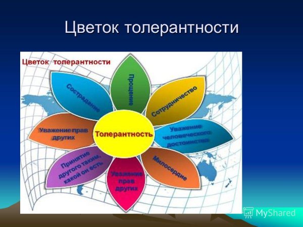 Цветок толерантности презентация