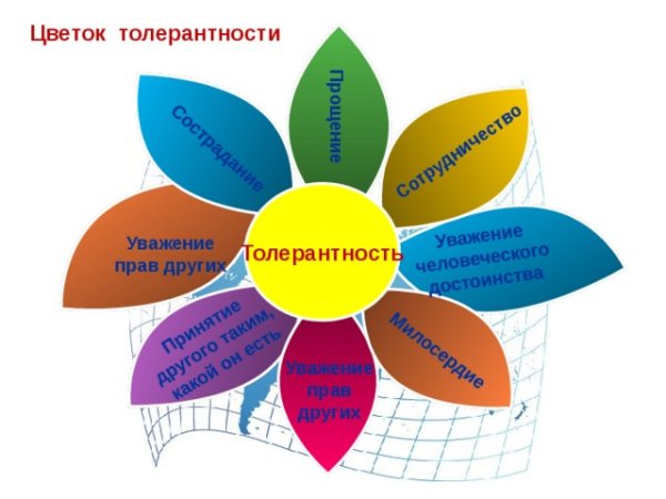 Толерантности карандашами цветок