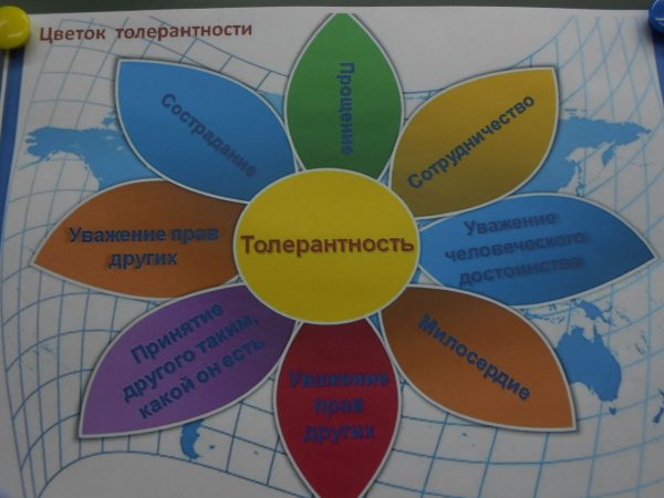 Цветок толерантности