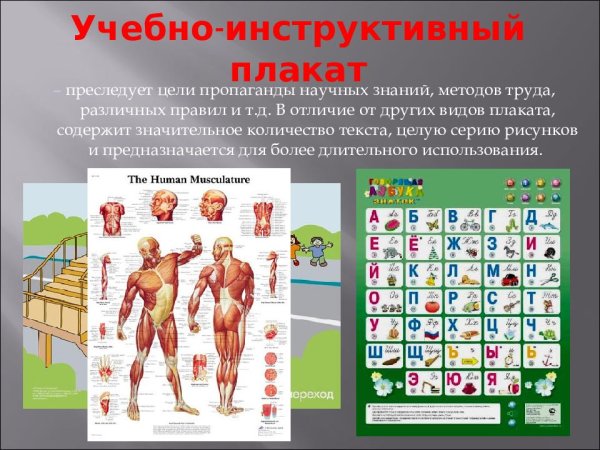 Учебный плакат