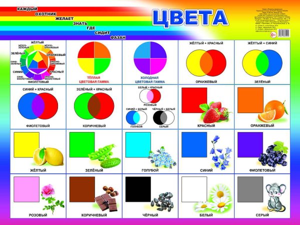 Основные цвета для детей